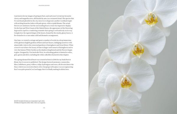 Produktbild: BEAUTIFUL BLOOMS HB
