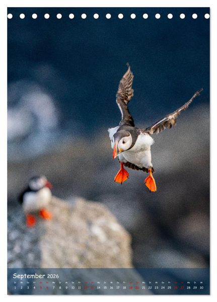 Produktbild: Naturerlebnis Puffin (Tischkalender 2026 DIN A5 hoch), CALVENDO Monatskalender