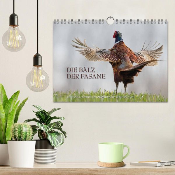 Produktbild: Emotionale Momente: Die Balz der Fasane / CH-Version (Wandkalender 2026 DIN A4 quer), CALVENDO Monatskalender