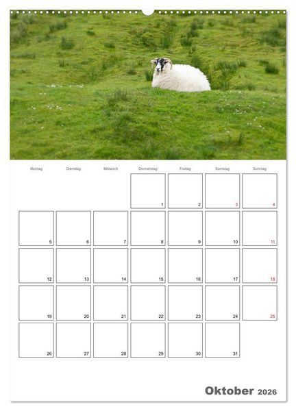 Produktbild: Schottland f&uuml;r Naturliebhaber (Wandkalender 2026 DIN A2 hoch), CALVENDO Monatskalender