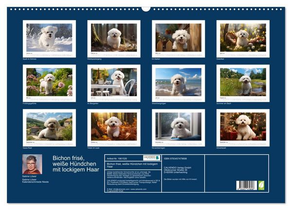 Produktbild: Bichon fris&eacute;, wei&szlig;e H&uuml;ndchen mit lockigem Haar (Wandkalender 2026 DIN A2 quer), CALVENDO Monatskalender