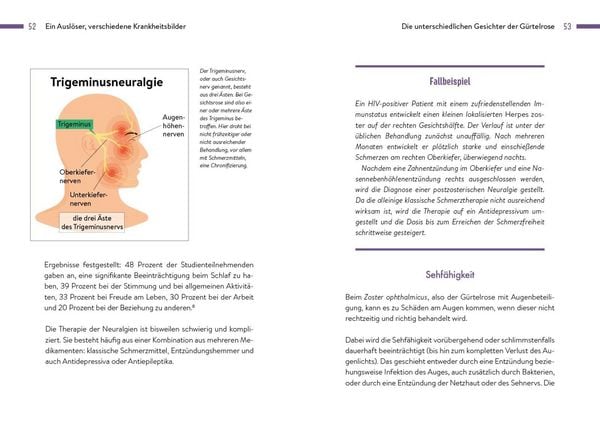 Produktbild: G&uuml;rtelrose