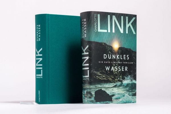 Produktbild: Dunkles Wasser