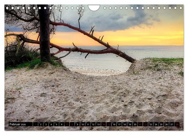 Produktbild: Fischland - Dar&szlig;- Zingst (Wandkalender 2026 DIN A4 quer), CALVENDO Monatskalender