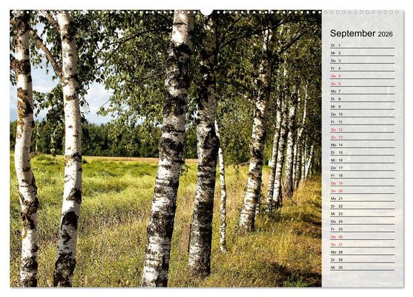 Produktbild: Litauen - Streifz&uuml;ge durch die junge Ostseerepublik (Wandkalender 2026 DIN A2 quer), CALVENDO Monatskalender