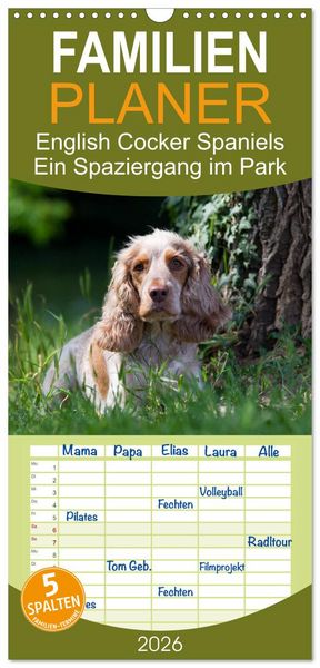 Produktbild: Familienplaner 2026 - English Cocker Spaniels - Ein Spaziergang im Park mit 5 Spalten (Wandkalender, 21 x 45 cm) CALVENDO