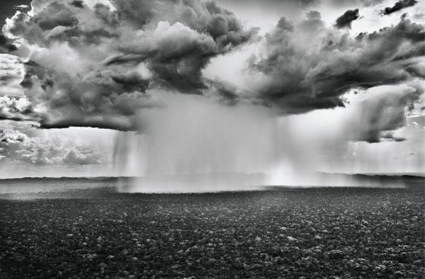 Produktbild: Amaz&ocirc;nia. Sebasti&atilde;o Salgado