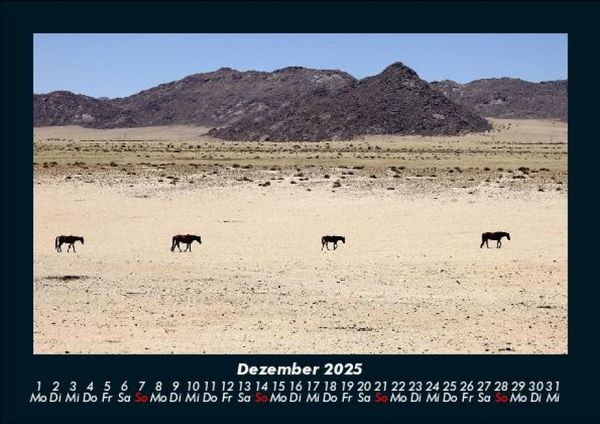 Produktbild: Pferdegefl&uuml;ster 2025 Fotokalender DIN A5