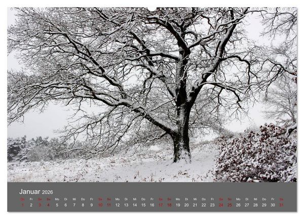 Produktbild: Wahner Heide - Aussichten und Begegnungen (hochwertiger Premium Wandkalender 2026 DIN A2 quer), Kunstdruck in Hochglanz