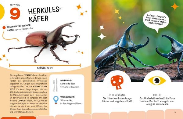 Produktbild: Top Ten die seltsamsten Insekten