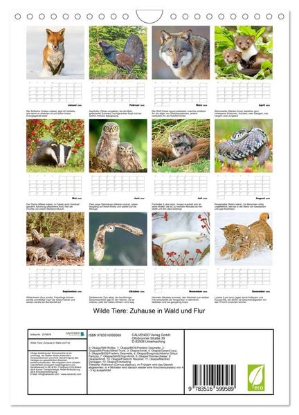 Produktbild: Wilde Tiere: Zuhause in Wald und Flur (Wandkalender 2026 DIN A4 hoch), CALVENDO Monatskalender