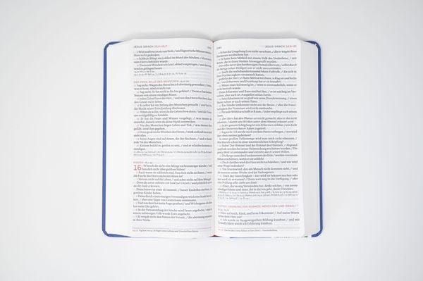 Produktbild: Die Bibel. Taschenausgabe Leder rustique mit Rei&szlig;verschluss