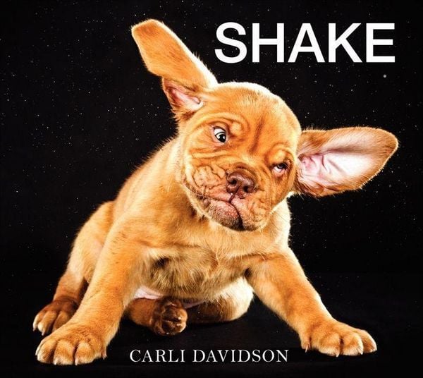 Produktbild: Shake