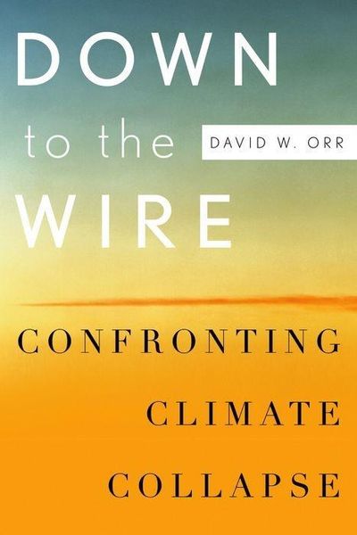 Produktbild: DOWN TO THE WIRE