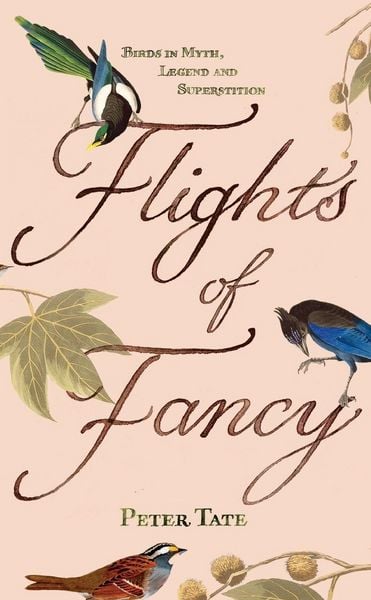 Produktbild: Flights of Fancy