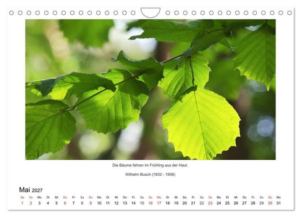 Produktbild: Der Naturkalender mit Zitaten und Spr&uuml;chen (Wandkalender 2027 DIN A4 quer), CALVENDO Monatskalender