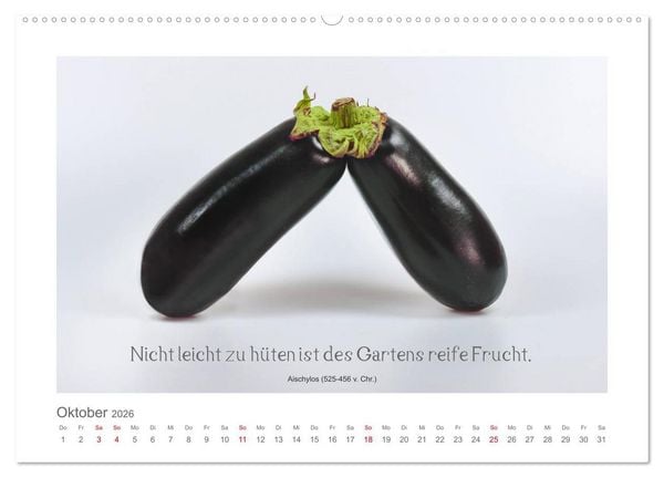 Produktbild: FunnyFood (hochwertiger Premium Wandkalender 2026 DIN A2 quer), Kunstdruck in Hochglanz