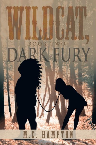 Produktbild: Wildcat, Book Two