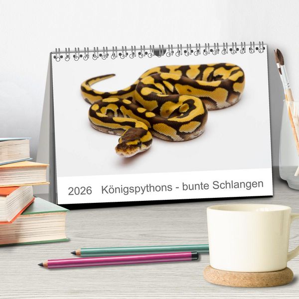 Produktbild: K&ouml;nigspythons - bunte Schlangen (Tischkalender 2026 DIN A5 quer), CALVENDO Monatskalender