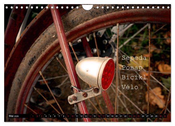 Produktbild: Weltfahrrad (Wandkalender 2026 DIN A4 quer), CALVENDO Monatskalender