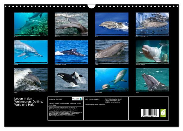 Produktbild: Leben in den Weltmeeren. Delfine, Wale und Haie (Wandkalender 2026 DIN A3 quer), CALVENDO Monatskalender