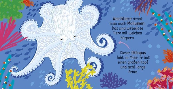 Produktbild: 50 W&ouml;rter &uuml;ber die Natur - Tiere