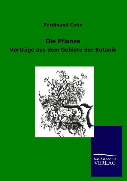 Produktbild: Die Pflanze