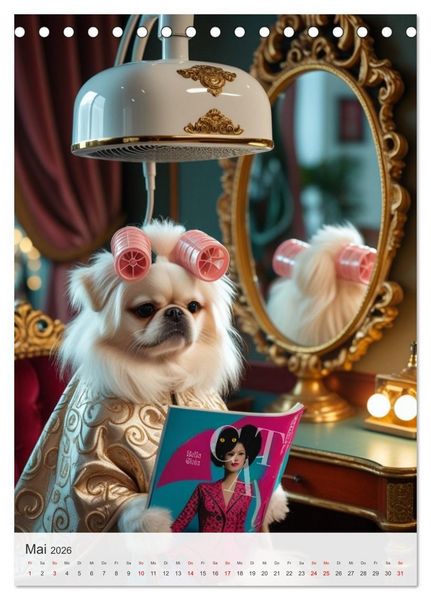 Produktbild: Daily Dogs &ndash; Tierisch menschlich (Tischkalender 2026 DIN A5 hoch), CALVENDO Monatskalender