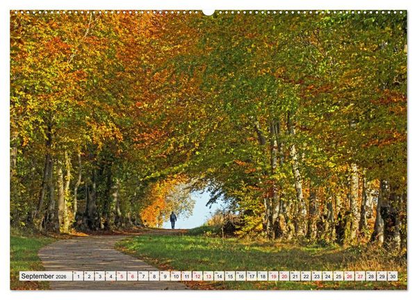 Produktbild: Die Eifel und das Hohe Venn (Wandkalender 2026 DIN A2 quer), CALVENDO Monatskalender