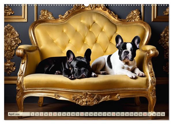 Produktbild: Kleine K&ouml;nige - Franz&ouml;sische Bulldoggen (Wandkalender 2026 DIN A2 quer), CALVENDO Monatskalender