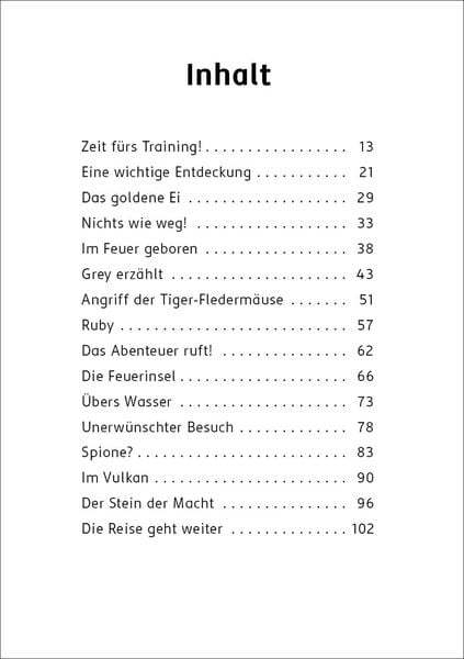 Der letzte Feuerfalke und der Stein der Macht (Band 1)