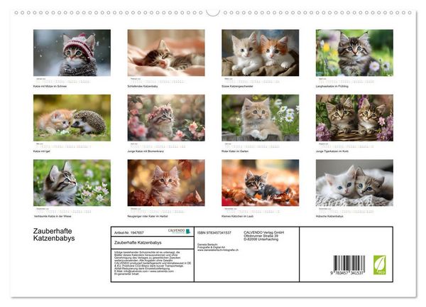 Produktbild: Zauberhafte Katzenbabys (hochwertiger Premium Wandkalender 2026 DIN A2 quer), Kunstdruck in Hochglanz