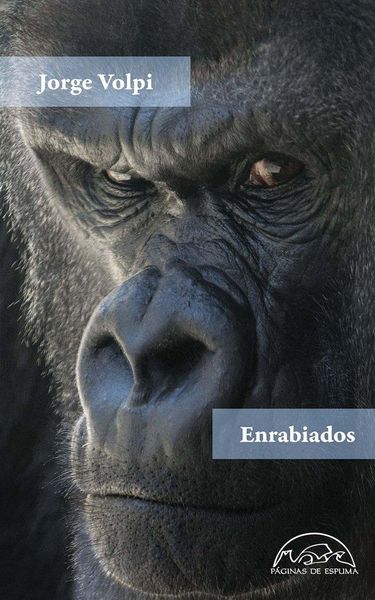 Produktbild: Enrabiados