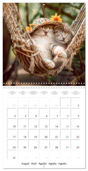 Produktbild: KITTEN Cuteness overload (Wall Calendar 2026 12 &times; 12 Inch) CALVENDO 12 Month Wall Calendar