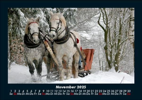 Produktbild: Pferdegefl&uuml;ster 2025 Fotokalender DIN A5