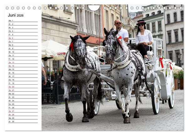 Produktbild: Besucht doch mal Krakau (Wandkalender 2026 DIN A4 quer), CALVENDO Monatskalender