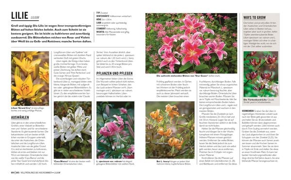 Produktbild: Gr&uuml;nes Gartenwissen. Zwiebel- und Knollenpflanzen