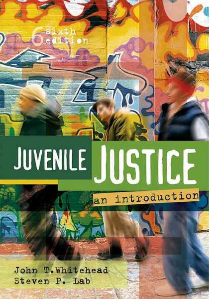 Produktbild: Juvenile Justice Rev/e 6/e
