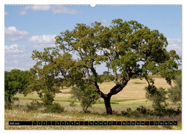 Produktbild: Portugal Buntes Hinterland und farbige K&uuml;sten (hochwertiger Premium Wandkalender 2026 DIN A2 quer), Kunstdruck in Hochglanz