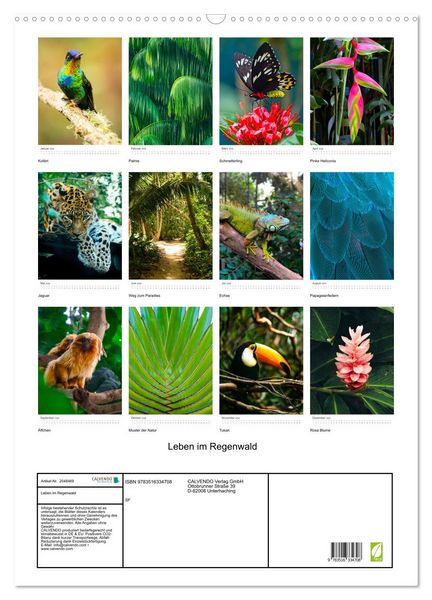Produktbild: Leben im Regenwald (Wandkalender 2026 DIN A2 hoch), CALVENDO Monatskalender