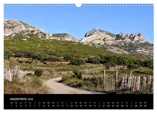 Produktbild: Les Alpilles en Provence (Calendrier mural 2026 DIN A3 vertical), CALVENDO calendrier mensuel
