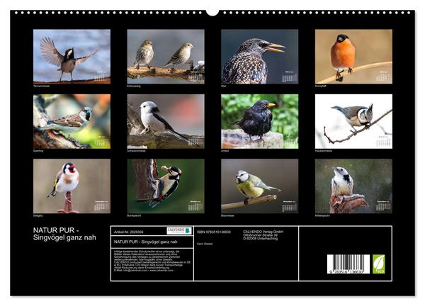 Produktbild: NATUR PUR - Singv&ouml;gel ganz nah (hochwertiger Premium Wandkalender 2026 DIN A2 quer), Kunstdruck in Hochglanz