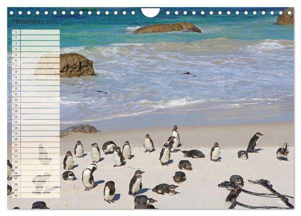 Produktbild: Abenteuer Erde Ein Kalender f&uuml;r Entdecker (Wandkalender 2026 DIN A4 quer), CALVENDO Monatskalender