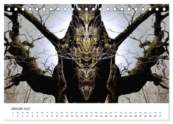 Produktbild: Spiegelwelten - Natur anders sehen (Tischkalender 2027 DIN A5 quer), CALVENDO Monatskalender