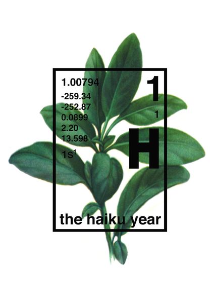 Produktbild: The Haiku Year