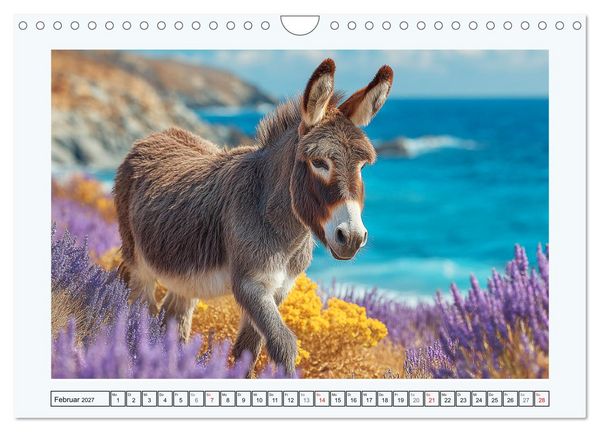 Produktbild: Sanfte Eselpoesie. Momente zwischen Bergwelt und Meer (Wandkalender 2027 DIN A4 quer), CALVENDO Monatskalender