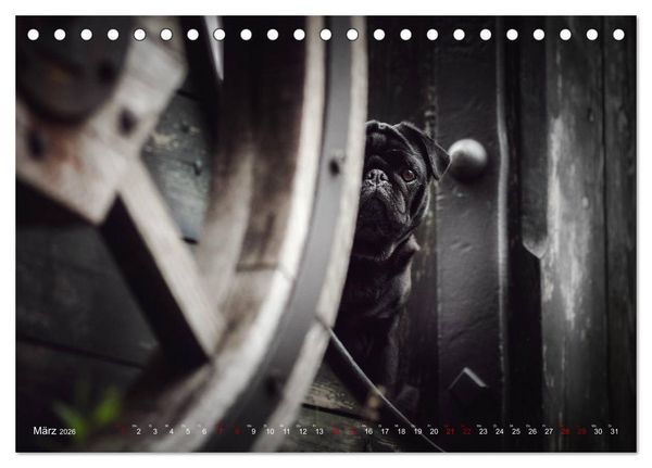 Produktbild: Diesels Welt (Tischkalender 2026 DIN A5 quer), CALVENDO Monatskalender