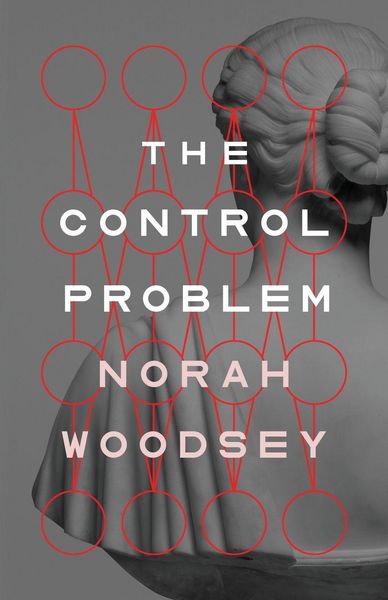 Produktbild: The Control Problem