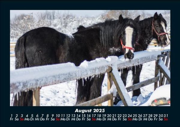 Produktbild: Winterzauber 2025 Fotokalender DIN A5
