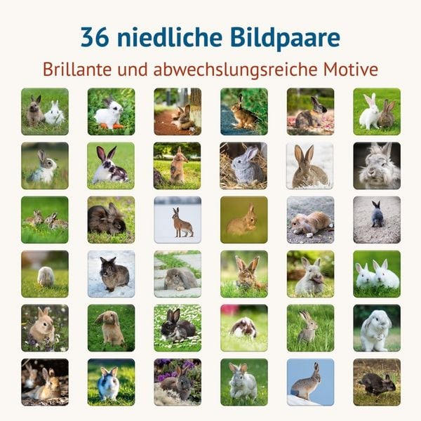 Produktbild: Doppel Hoppel Memospiel